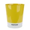 CESTINO CARTA PANTONE