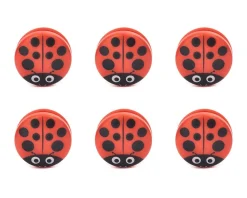 CHIUDIPACCO COCCINELLA
