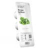 PIANTA GREEN LETTUCE