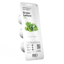 PIANTA GREEN LETTUCE