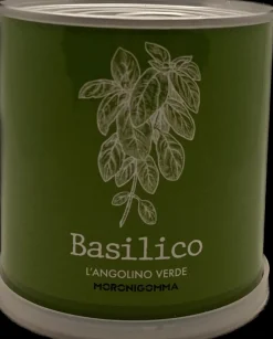 PIANTA IN BARATTOLO BASILICO