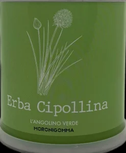 PIANTA IN BARATTOLO ERBA CIPOLLINA