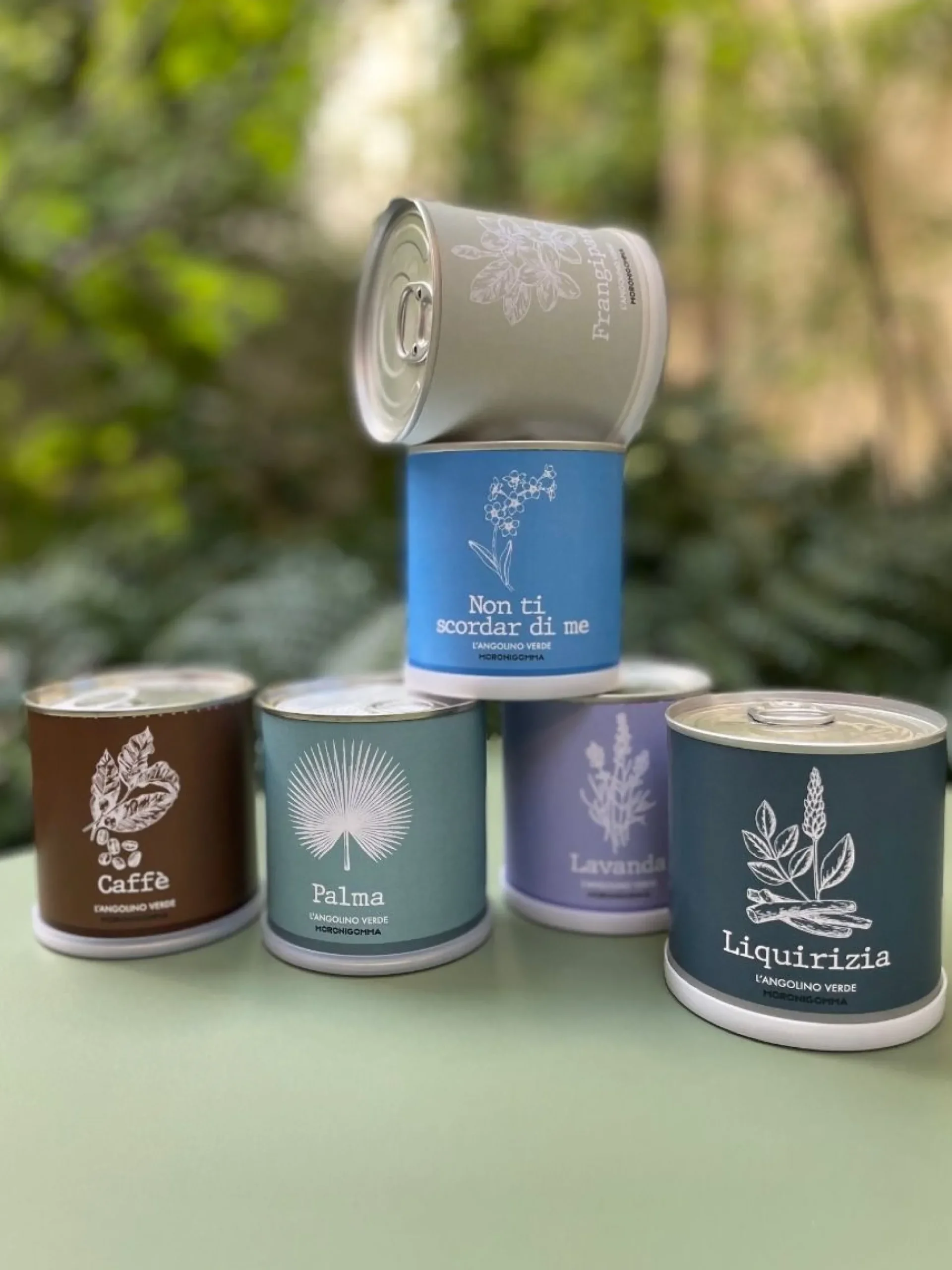 PIANTA IN BARATTOLO PALMA