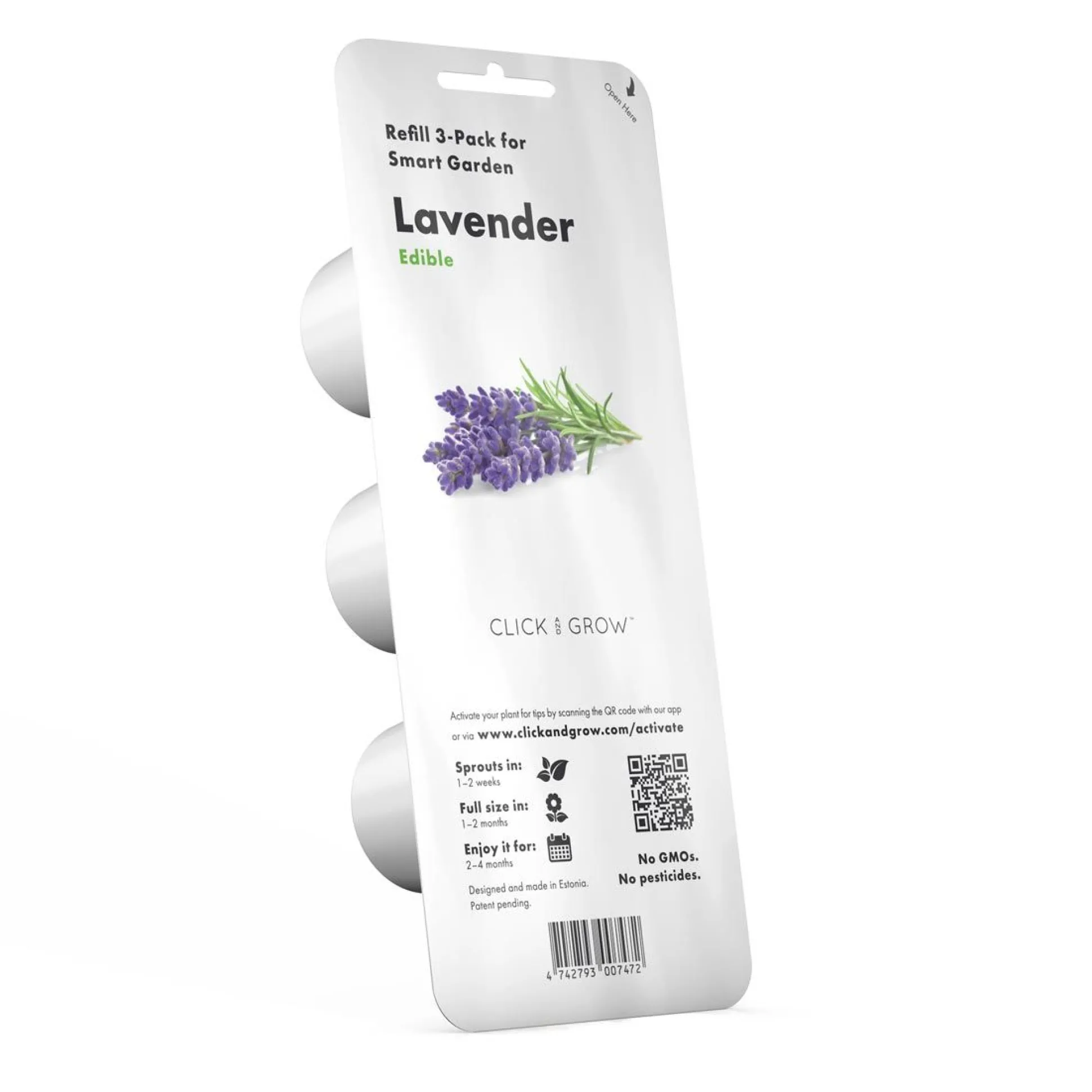PIANTA LAVANDER CLICK&GROW