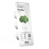 PIANTA PARSLEY CLICK&GROW
