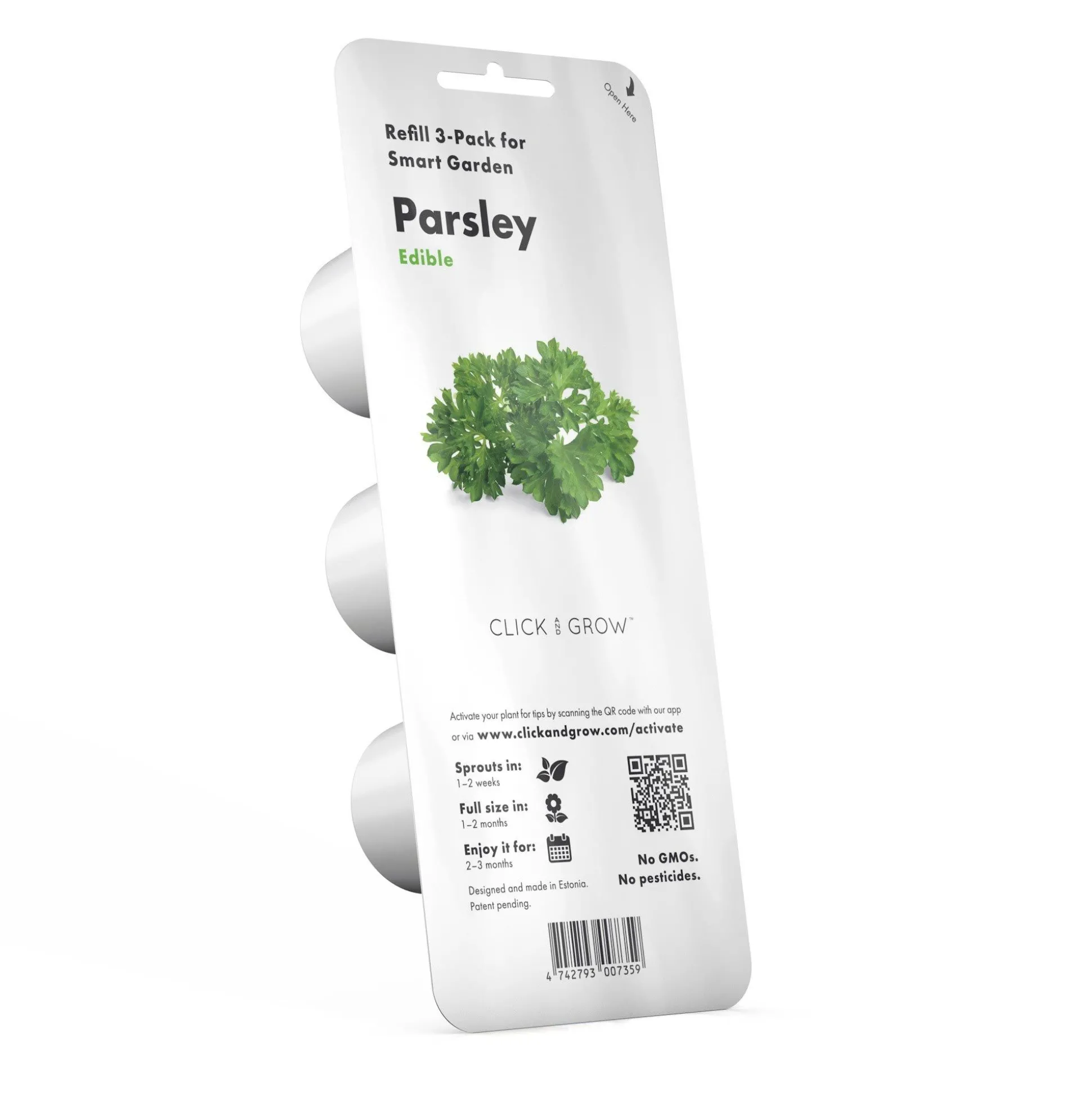 PIANTA PARSLEY CLICK&GROW