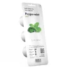 PIANTA PEPPERMINT CLICK&GROW