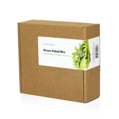 PIANTA SALAD MIX CLICK&GROW