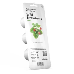 PIANTA WILD STRAWBERRY