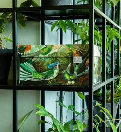 SCATOLA ART OF NATURE