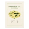 STAMPA ORECCHIETTE ALLE CIME DI RAPA