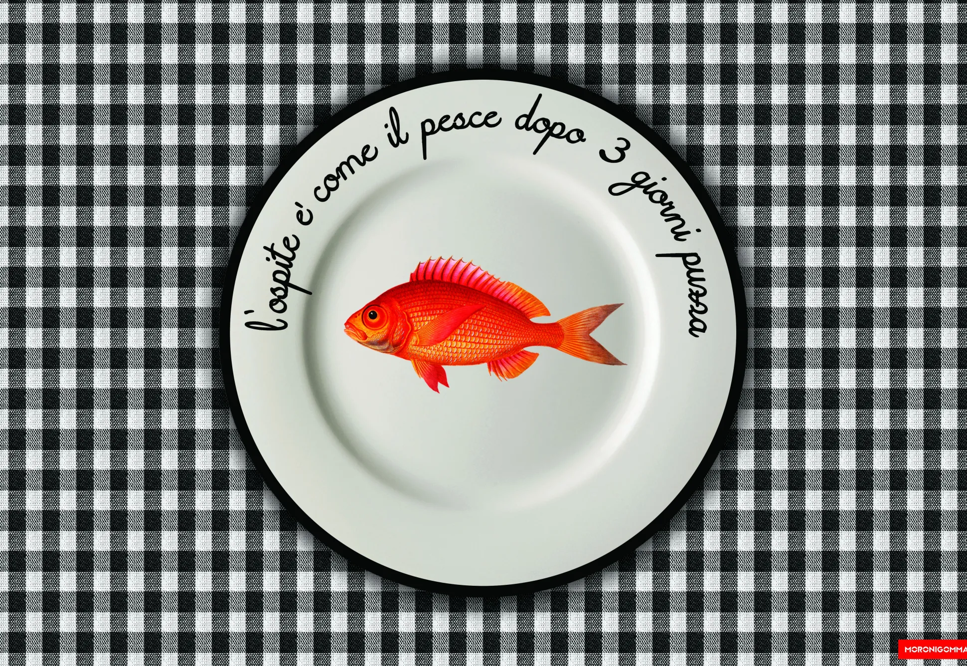 TOVAGLIETTA PESCE 30X44 CM
