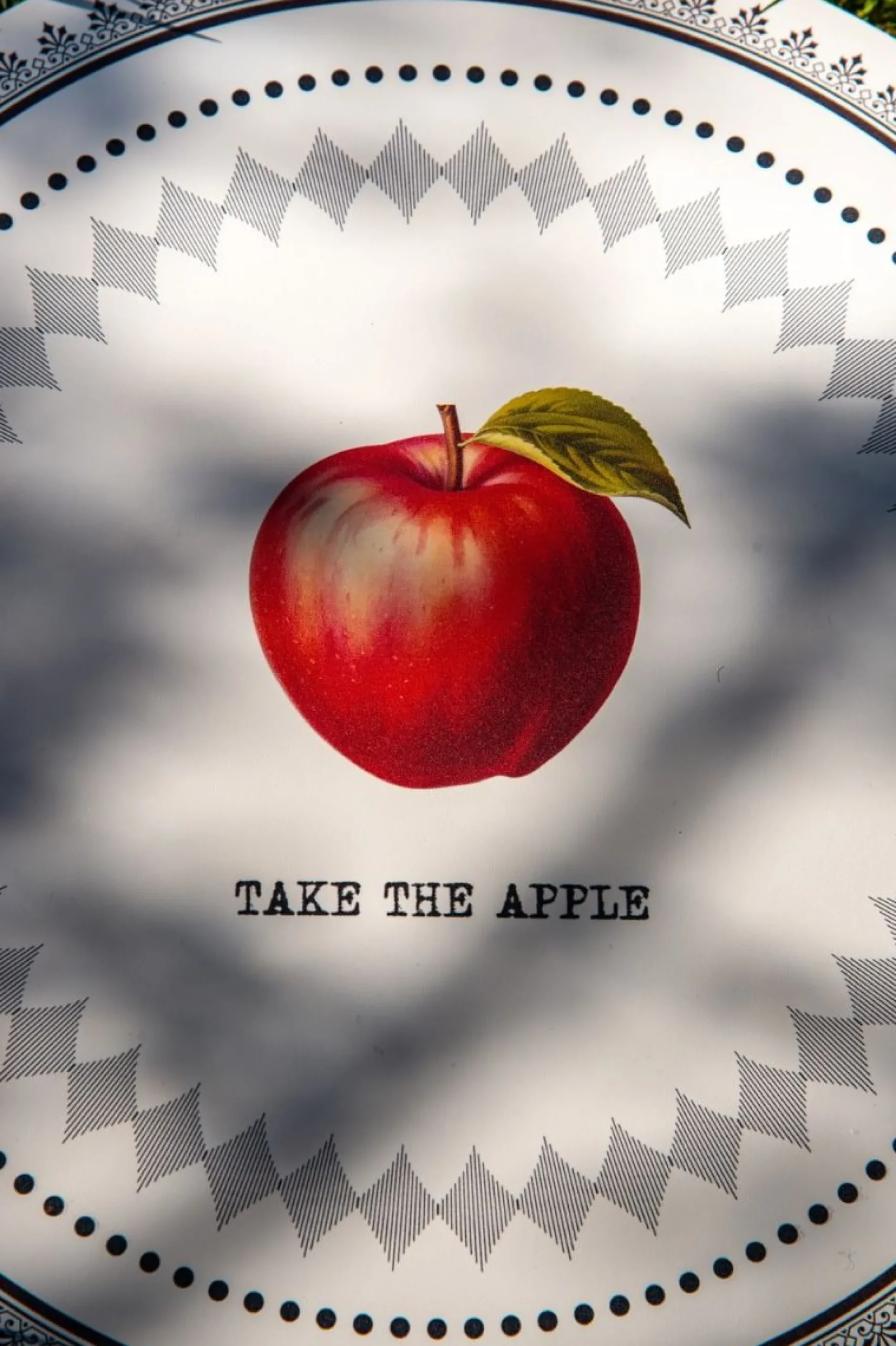 TOVAGLIETTA TONDA APPLE