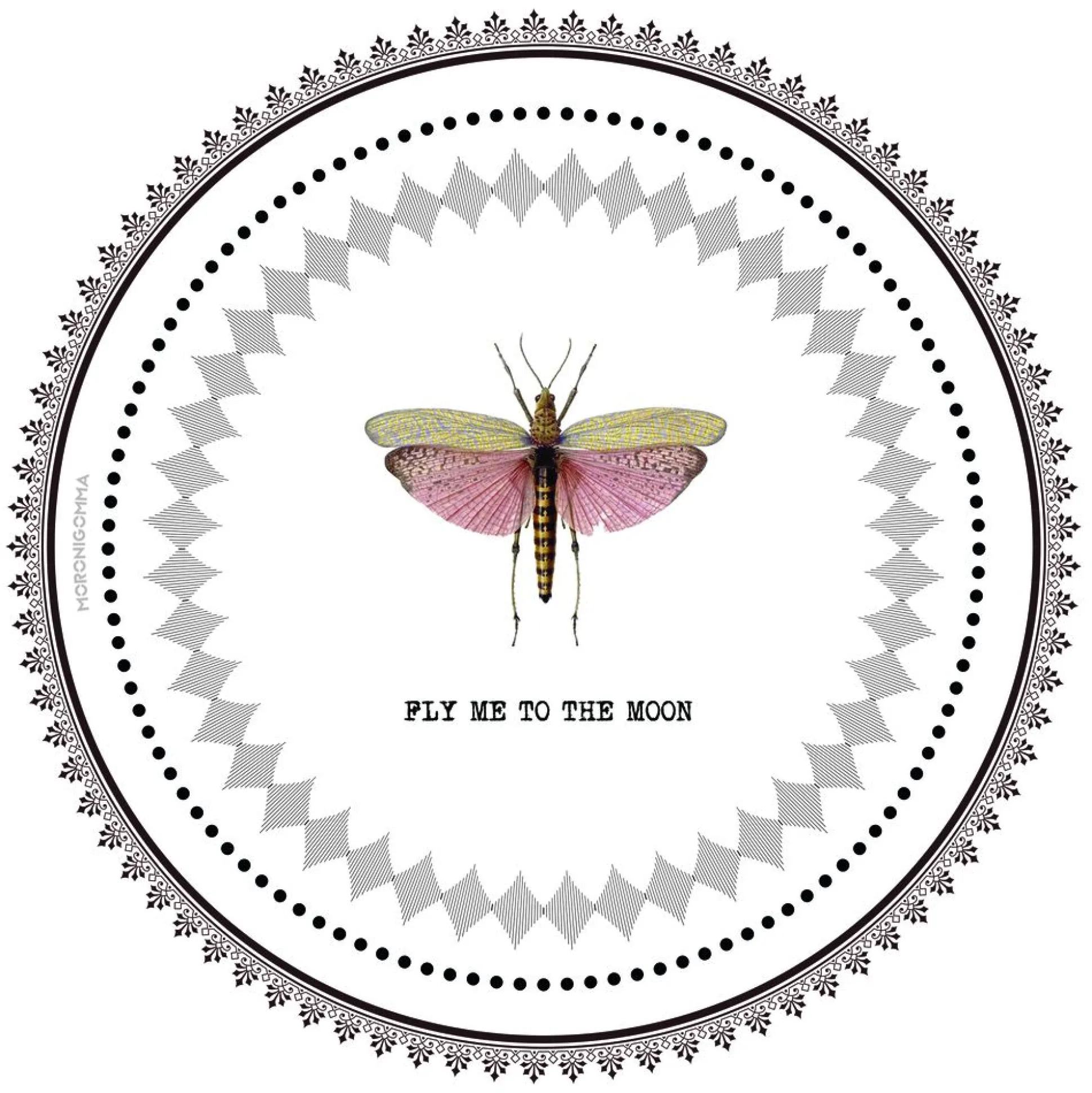 TOVAGLIETTA TONDA FLY